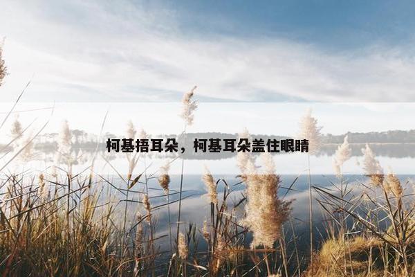 柯基捂耳朵，柯基耳朵盖住眼睛