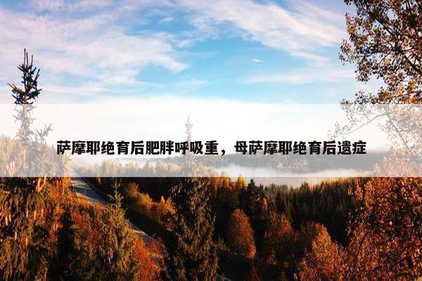 萨摩耶绝育后肥胖呼吸重，母萨摩耶绝育后遗症
