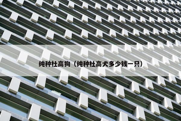 纯种杜高狗（纯种杜高犬多少钱一只）