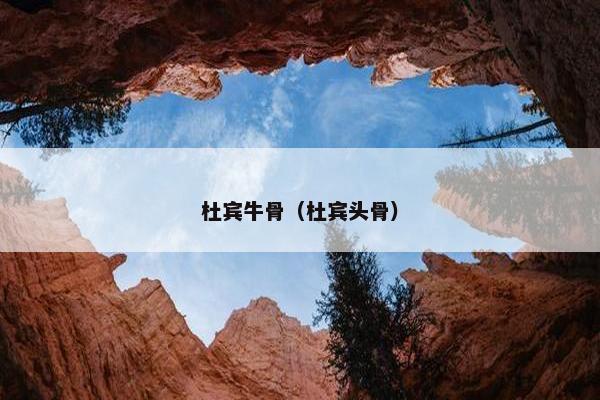 杜宾牛骨（杜宾头骨）