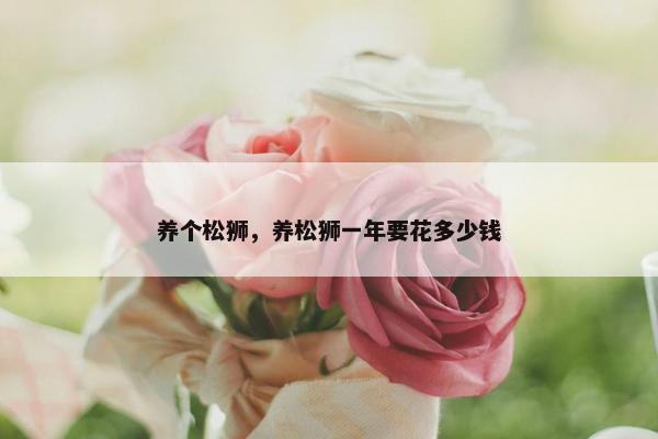 养个松狮，养松狮一年要花多少钱