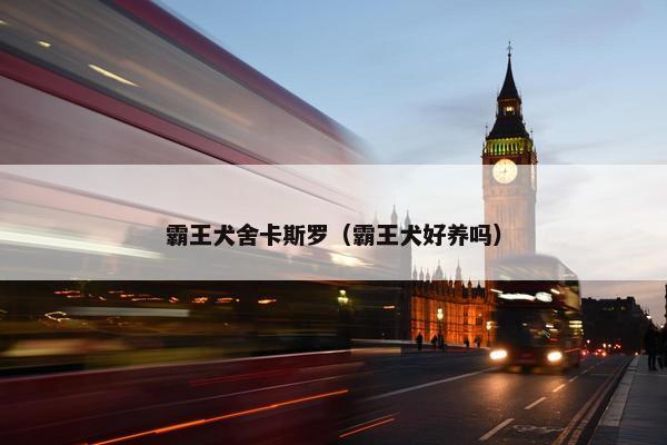 霸王犬舍卡斯罗（霸王犬好养吗）