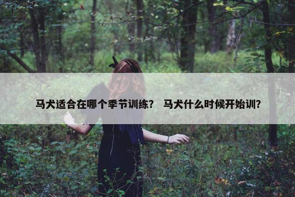 马犬适合在哪个季节训练？ 马犬什么时候开始训？