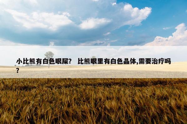 小比熊有白色眼屎？ 比熊眼里有白色晶体,需要治疗吗？