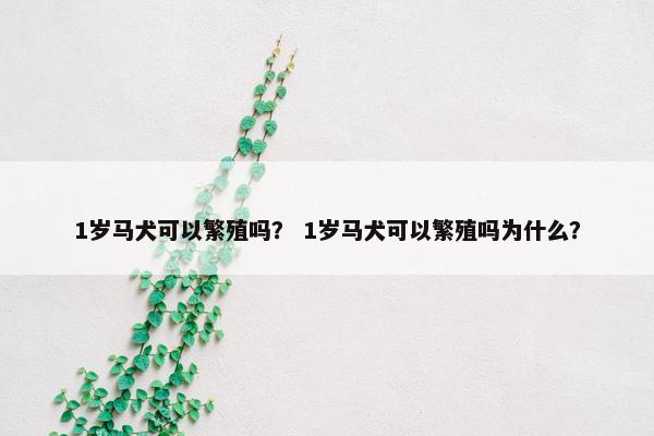 1岁马犬可以繁殖吗？ 1岁马犬可以繁殖吗为什么？
