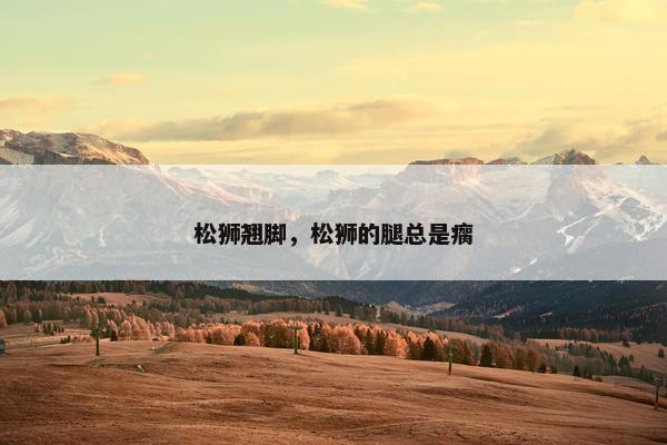 松狮翘脚，松狮的腿总是瘸