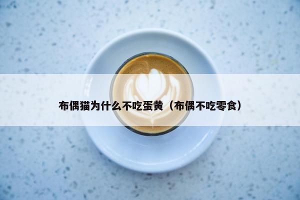 布偶猫为什么不吃蛋黄（布偶不吃零食）