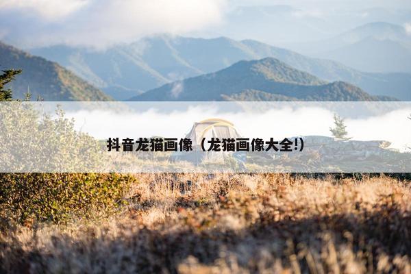 抖音龙猫画像（龙猫画像大全!）