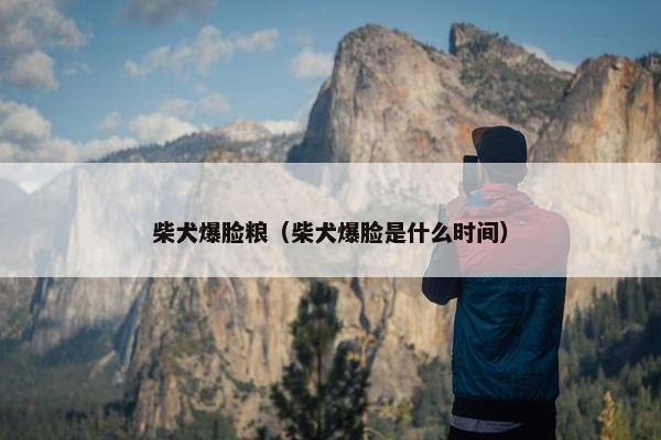 柴犬爆脸粮（柴犬爆脸是什么时间）