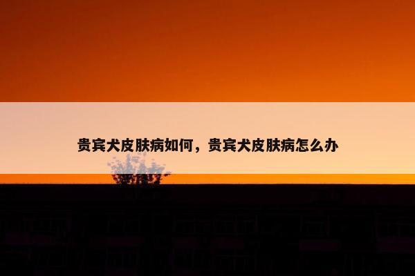 贵宾犬皮肤病如何，贵宾犬皮肤病怎么办