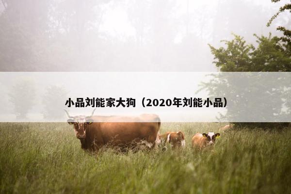 小品刘能家大狗（2020年刘能小品）