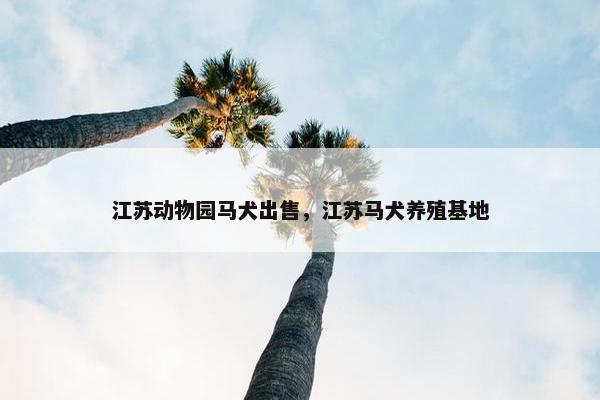 江苏动物园马犬出售，江苏马犬养殖基地
