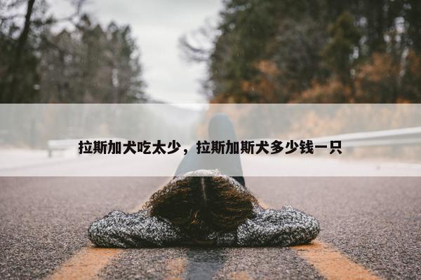 拉斯加犬吃太少，拉斯加斯犬多少钱一只