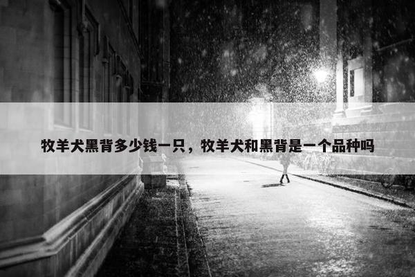 牧羊犬黑背多少钱一只，牧羊犬和黑背是一个品种吗