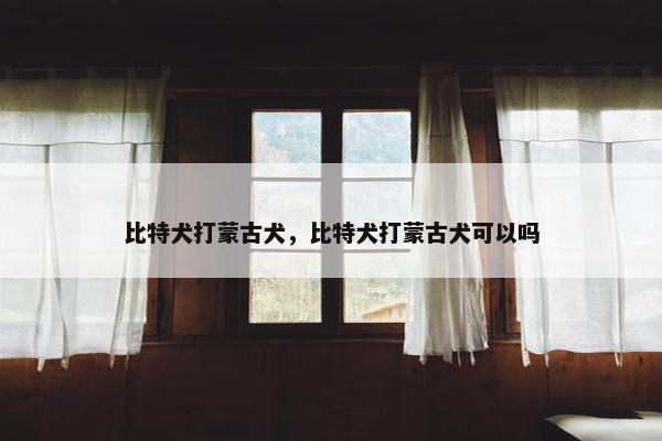 比特犬打蒙古犬，比特犬打蒙古犬可以吗