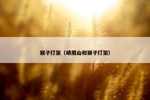 猴子打架（峨眉山和猴子打架）