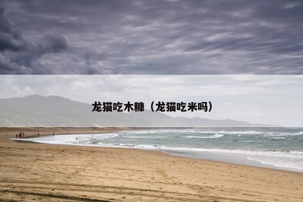 龙猫吃木糠（龙猫吃米吗）