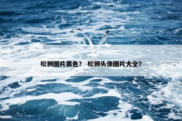 松狮图片黑色？ 松狮头像图片大全？