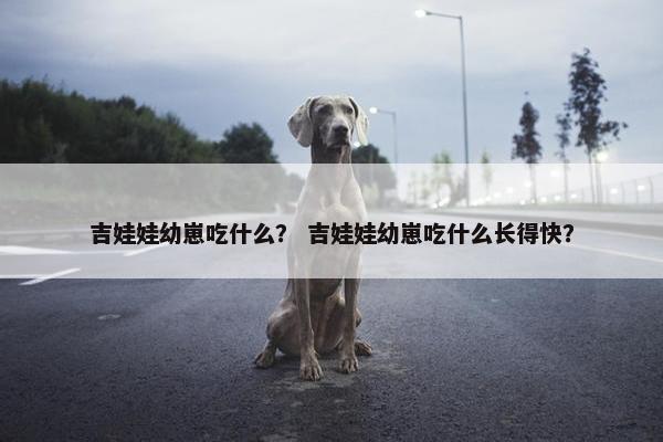 吉娃娃幼崽吃什么？ 吉娃娃幼崽吃什么长得快？