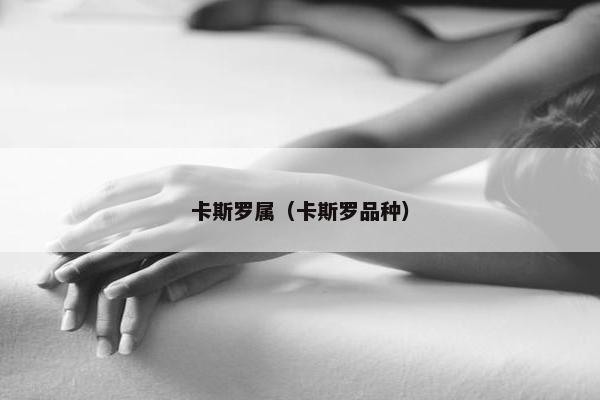 卡斯罗属（卡斯罗品种）