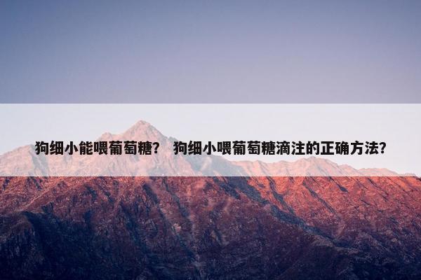 狗细小能喂葡萄糖？ 狗细小喂葡萄糖滴注的正确方法？