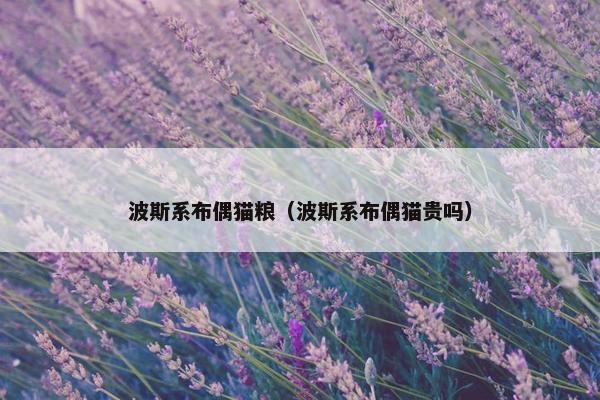 波斯系布偶猫粮（波斯系布偶猫贵吗）