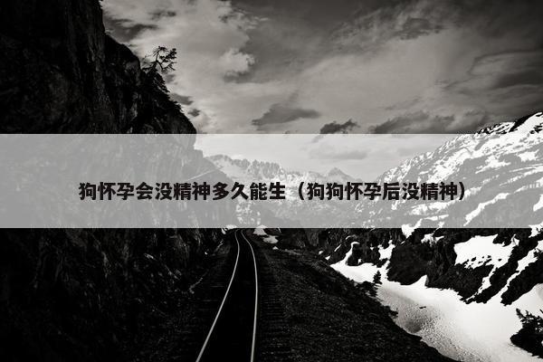 狗怀孕会没精神多久能生（狗狗怀孕后没精神）