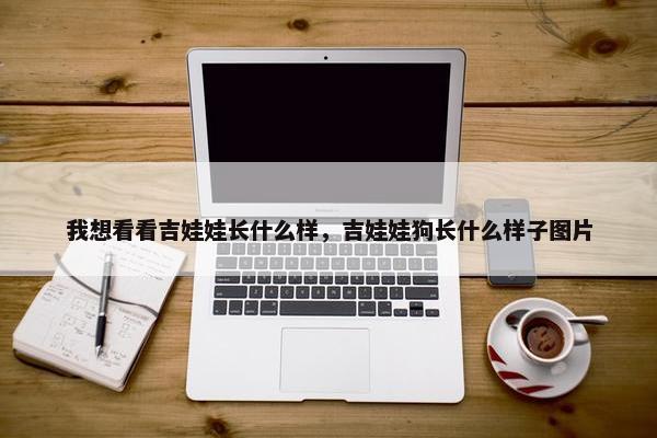 我想看看吉娃娃长什么样，吉娃娃狗长什么样子图片