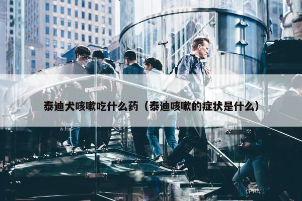 泰迪犬咳嗽吃什么药（泰迪咳嗽的症状是什么）