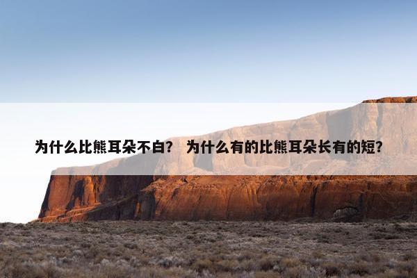 为什么比熊耳朵不白？ 为什么有的比熊耳朵长有的短？