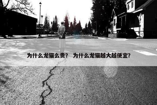 为什么龙猫么贵？ 为什么龙猫越大越便宜？
