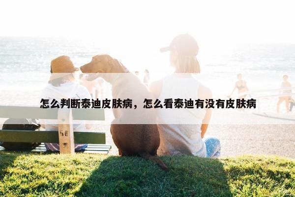 怎么判断泰迪皮肤病，怎么看泰迪有没有皮肤病