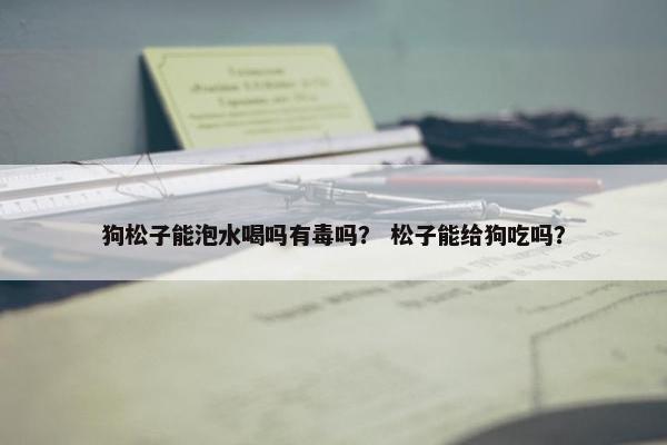 狗松子能泡水喝吗有毒吗？ 松子能给狗吃吗？