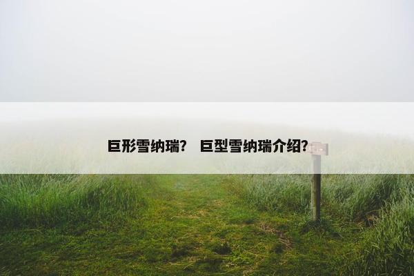 巨形雪纳瑞？ 巨型雪纳瑞介绍？