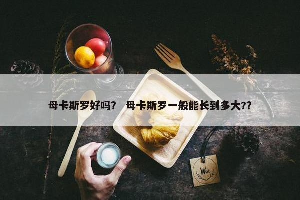 母卡斯罗好吗？ 母卡斯罗一般能长到多大?？