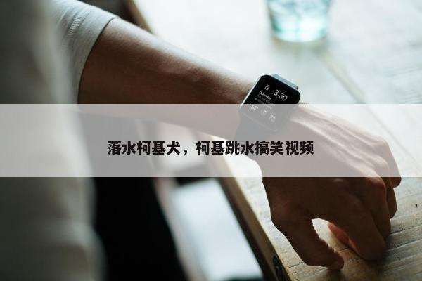落水柯基犬，柯基跳水搞笑视频
