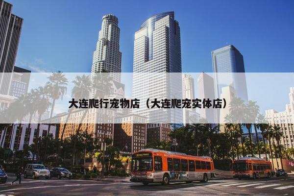 大连爬行宠物店（大连爬宠实体店）