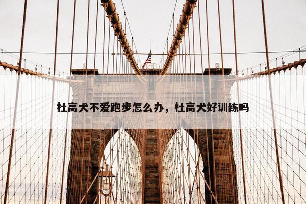 杜高犬不爱跑步怎么办，杜高犬好训练吗
