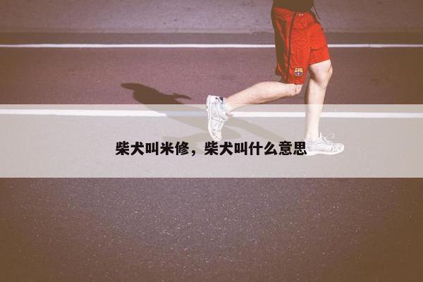 柴犬叫米修，柴犬叫什么意思