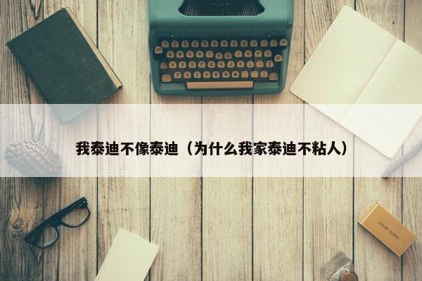 我泰迪不像泰迪（为什么我家泰迪不粘人）