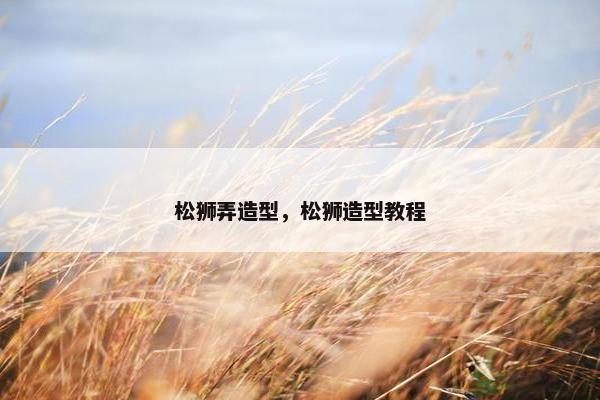 松狮弄造型，松狮造型教程