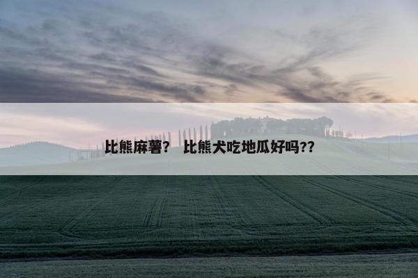 比熊麻薯？ 比熊犬吃地瓜好吗?？