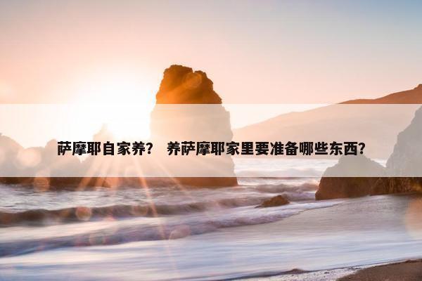 萨摩耶自家养？ 养萨摩耶家里要准备哪些东西？