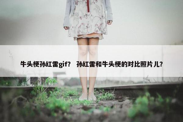 牛头梗孙红雷gif？ 孙红雷和牛头梗的对比照片儿？