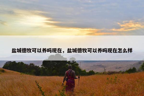盐城德牧可以养吗现在，盐城德牧可以养吗现在怎么样