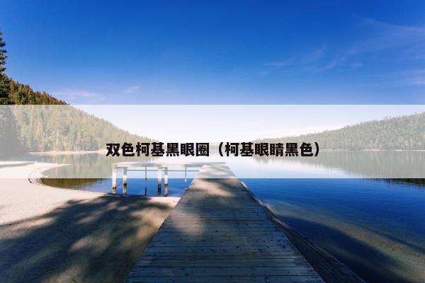 双色柯基黑眼圈（柯基眼睛黑色）