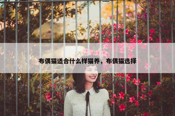 布偶猫适合什么样猫养，布偶猫选择