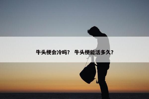 牛头梗会冷吗？ 牛头梗能活多久？