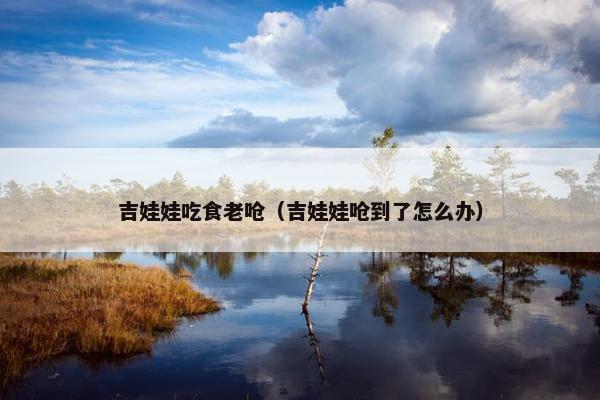 吉娃娃吃食老呛（吉娃娃呛到了怎么办）