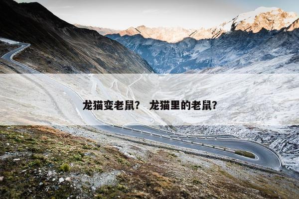 龙猫变老鼠？ 龙猫里的老鼠？